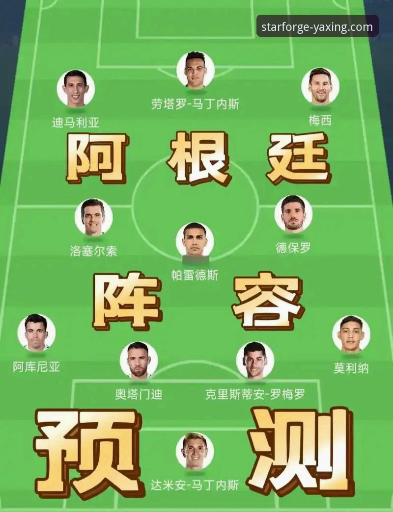 揭秘：阿根廷世界杯征程的“非战斗减员”与团队韧性的创新思考